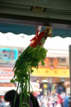 DSC07440