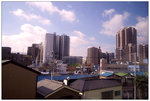 DSC00353