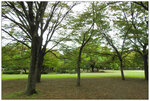 DSCN0575