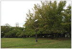 DSCN0577