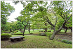 DSCN0587