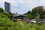 DSC_9884