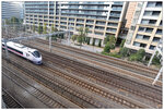 DSC_4556