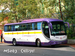 ms203