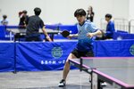 MCC_1383