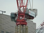 DSCN0006
