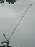 DSCN9053