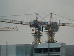 DSCN7808