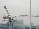 DSCN4355