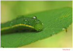 2T3A2546-1