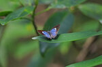 IMG_2739-1