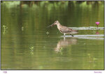80D20200829IMG_1595