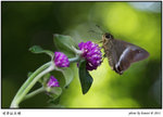 5D20110724IMG_3782