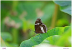 IMG_6884-1