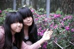 PICT3185_v1