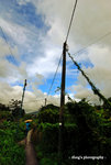 rural7