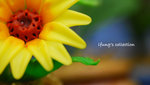 flower1