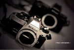 FilmSLRs2