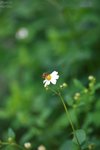 nnIMG_5505