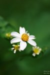 nnIMG_5508