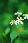 nnIMG_5519