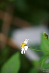 nnIMG_5521