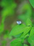 nnIMG_5531