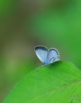 nnIMG_5532