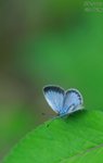 nnIMG_5533