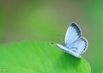 nnIMG_5535