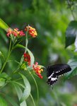 nnIMG_5538