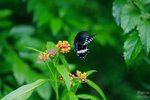 nnIMG_5541