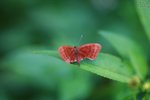 nnIMG_5560