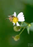 nnIMG_5573