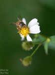 nnIMG_5574