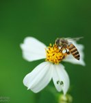 nnIMG_5588