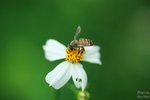 nnIMG_5589