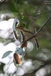 nnIMG_5611