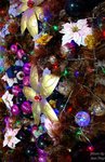 DSCF3111