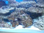 DSCF2563