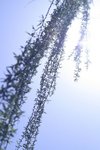 IMG_5906