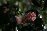 IMG_6029