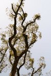 IMG_6101