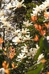 IMG_6108