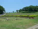 P1000952