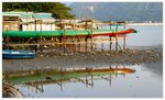 IMG_1252