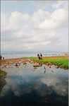 烏溪沙.21-04-2010