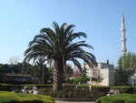 DSC06000