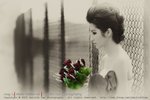 DSC_4469A[1]