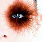 Eyes (33)